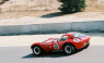 [thumbnail of 196x Cheetah road racer.jpg]